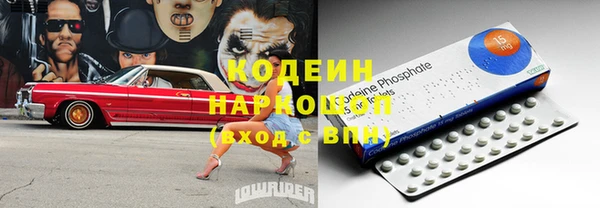 ГАЛЛЮЦИНОГЕННЫЕ ГРИБЫ Бородино
