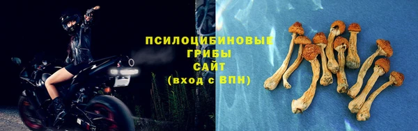 дурь Бронницы
