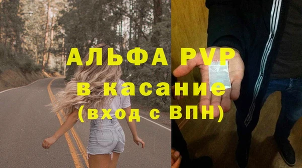 ГАЛЛЮЦИНОГЕННЫЕ ГРИБЫ Бородино