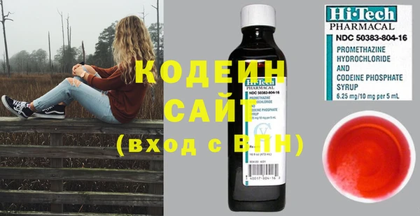 ГАЛЛЮЦИНОГЕННЫЕ ГРИБЫ Бородино