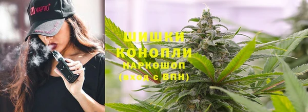 ГАЛЛЮЦИНОГЕННЫЕ ГРИБЫ Бородино