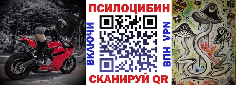 даркнет сайт Киренск Псилоцибиновые грибы мухоморы